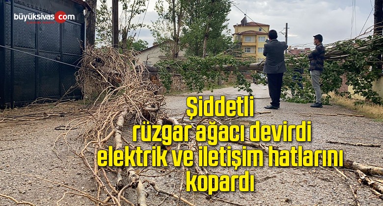 Şiddetli rüzgar ağacı devirdi, elektrik ve iletişim hatlarını kopardı