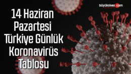 14 Haziran Pazartesi Türkiye Günlük Koronavirüs Tablosu