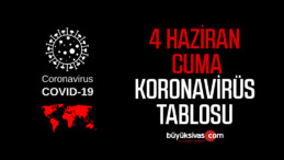 4 Haziran Cuma Türkiye Günlük Koronavirüs Tablosu