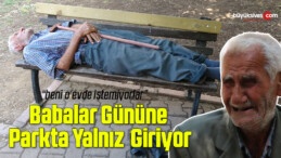 Babalar Gününe parkta yalnız giriyor