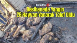 Besihanede Yangın: 26 Hayvan Yanarak Telef Oldu