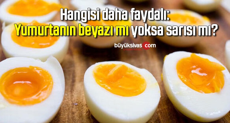 Hangisi daha faydalı: Yumurtanın beyazı mı yoksa sarısı mı?