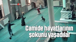 Namaz esnasında camiye giren köpek, cemaate korku dolu anlar yaşattı