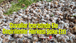 Çuvallar İçerisinde Ele Geçirilenler Herkesi Şoke Etti