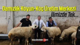 Başkan Eken, Damızlık Koyun-Koç Üretim Merkezini Ziyaret Etti