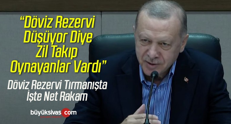 Erdoğan Merkez Bankası Döviz Rezervine İlişkin Net Rakam Verdi