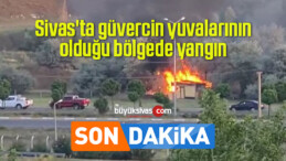 Sivas’ta güvercin yuvalarının olduğu bölgede yangın