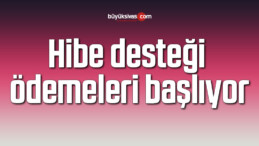 Hibe desteği ödemeleri başlıyor