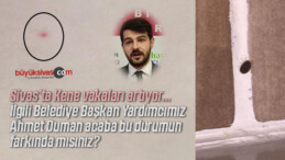 “Bu çocuğun üzerinden çıkan kene, diğeri de sırtı, kenenin ısırdığı yer”