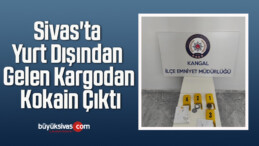 Sivas’ta Yurt Dışından Gelen Kargodan Kokain Çıktı