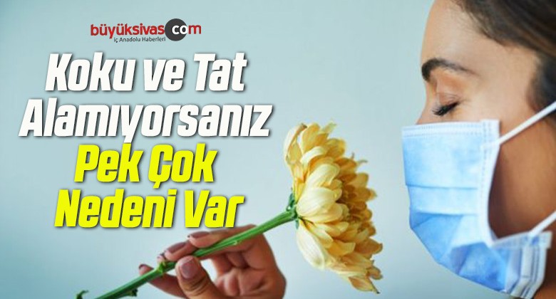 Koku ve Tat Alamıyorsanız Pek Çok Nedeni Var