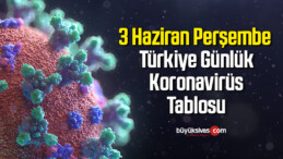 3 Haziran Perşembe Türkiye Günlük Koronavirüs Tablosu