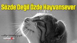 Sözde Değil Özde Hayvansever