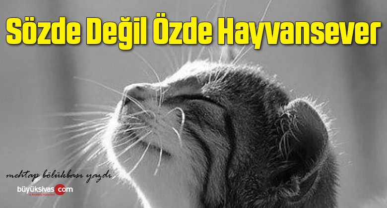 Sözde Değil Özde Hayvansever