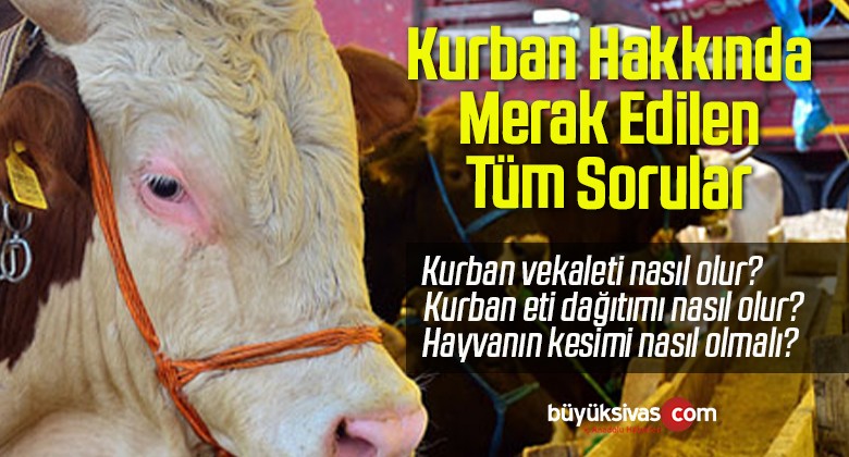 Kurban Hakkında Merak Edilen Tüm Sorular