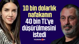 10 bin dolarlık nafakanın 40 bin TL’ye düşürülmesini istedi