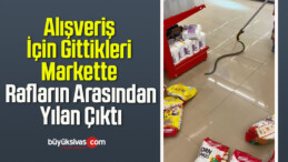 Alışveriş İçin Gittikleri Markette Rafların Arasından Yılan Çıktı