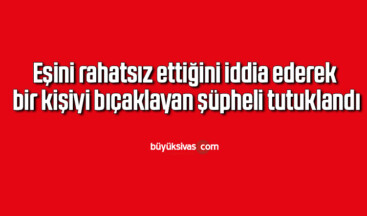 Eşini rahatsız ettiğini iddia ederek bir kişiyi bıçaklayan şüpheli tutuklandı