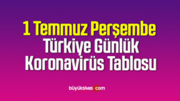 1 Temmuz Perşembe Türkiye Günlük Koronavirüs Tablosu