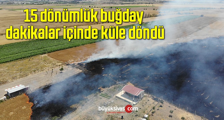 15 dönümlük buğday dakikalar içinde küle döndü