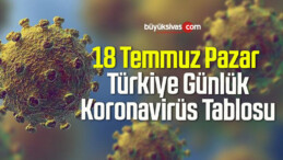 18 Temmuz Pazar Türkiye Günlük Koronavirüs Tablosu