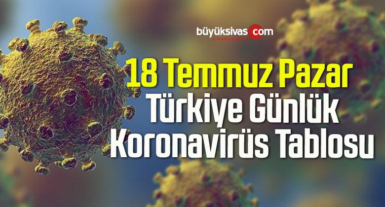 18 Temmuz Pazar Türkiye Günlük Koronavirüs Tablosu