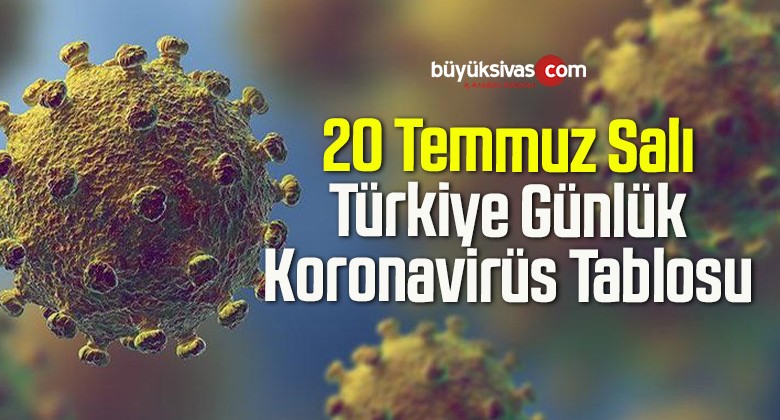 20 Temmuz Salı Türkiye Günlük Koronavirüs Tablosu