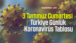 3 Temmuz Cumartesi Türkiye Günlük Koronavirüs Tablosu