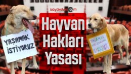 Hayvan Hakları Yasası hazır! Teklif meclise sunuldu