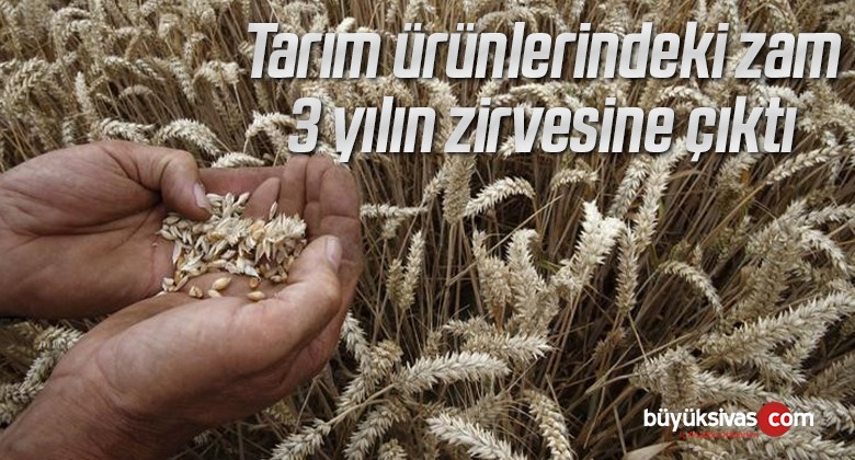 Tarım ürünlerindeki fiyat artışı 3 yılın zirvesine çıktı