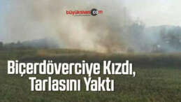 Biçerdöverciye Kızdı, Tarlasını Yaktı