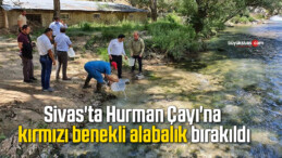 Sivas’ta Hurman Çayı’na kırmızı benekli alabalık bırakıldı