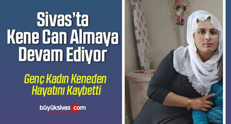 Sivas’ta Genç Kadın Keneden Hayatını Kaybetti