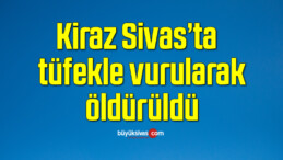 Sivas’ta Kiraz tüfekle vurularak öldürüldü