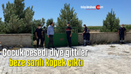 Çocuk cesedi diye gittiler, beze sarılı köpek çıktı