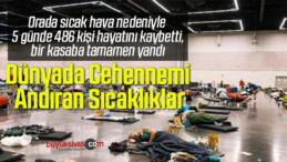 Rekor Sıcak Hava Dalgası: 5 Günde 486 Ölü