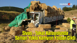 Sivas – Tokat Karayolunda Trafik Kazası !