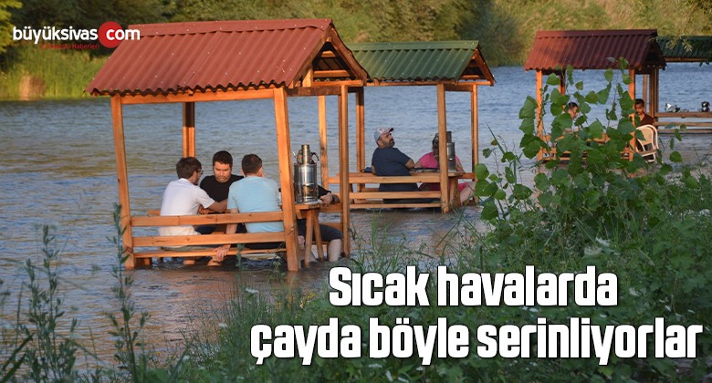 Sıcak havalarda çayda böyle serinliyorlar