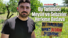 Bu Tarladaki Meyve ve Sebzeler Herkese Bedava