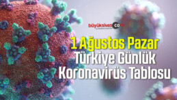 1 Ağustos Pazar Türkiye Günlük Koronavirüs Tablosu
