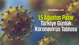 15 Ağustos Pazar Türkiye Günlük Koronavirüs Tablosu