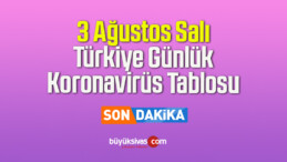 3 Ağustos Salı Türkiye Günlük Koronavirüs Tablosu