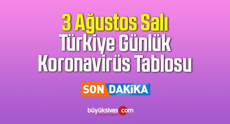 3 Ağustos Salı Türkiye Günlük Koronavirüs Tablosu