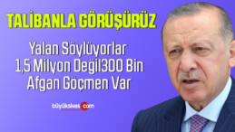 “Türkiye’de şu anda 300 bin Afganistanlı göçmen söz konusudur”