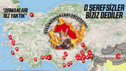 Türkiye’de yangınları “Ateşin Çocukları İnisiyatifi”nin çıkardığı belirtildi