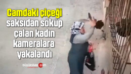 Camdaki çiçeği saksıdan söküp çalan kadın kameralara yakalandı