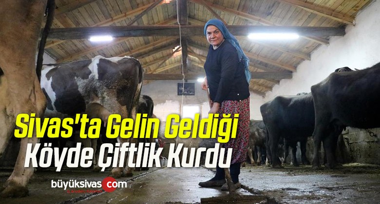 Sivas’ta Gelin Geldiği Köyde Çiftlik Kurdu