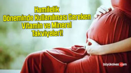 Hamilelik Döneminde Kullanılması Gereken Vitamin ve Mineral Takviyeleri!