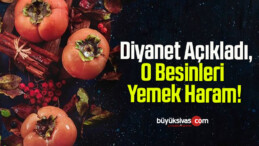 Diyanet Açıkladı, O Besinleri Yemek Haram!