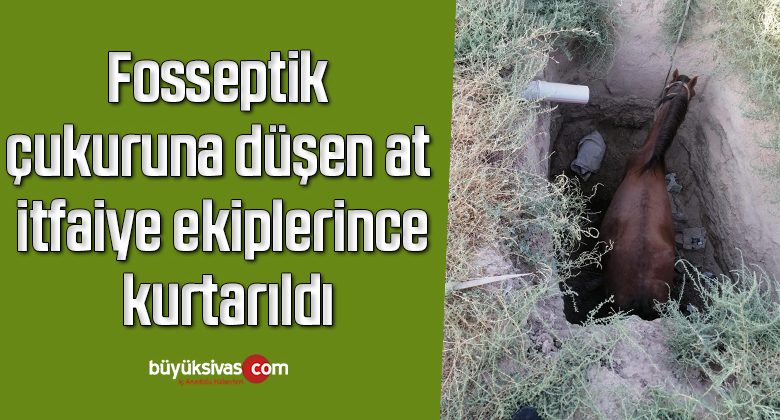 Fosseptik çukuruna düşen at itfaiye ekiplerince kurtarıldı